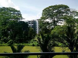 The Raintree (D21), Condominium #578606641